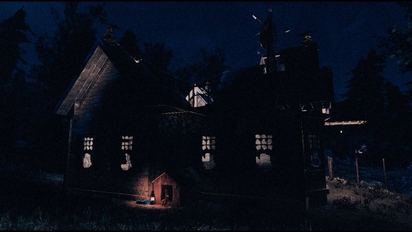 Пес на ночном дежурстве ;)