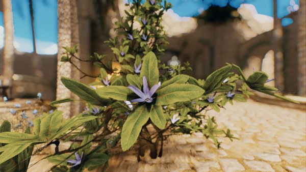 Чуть пейзажей и природы. Skyrim SE (Тропики 7.0)