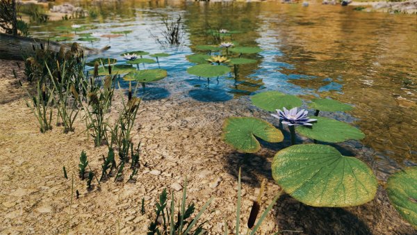 Пейзажик.. Skyrim SE (Тропики 7.0)