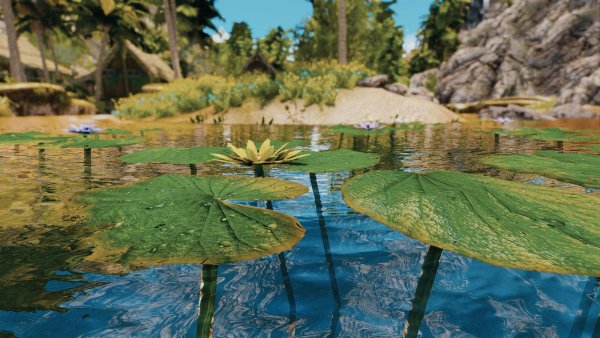 Кувшинки в реке.. Skyrim SE (Тропики 7.0)