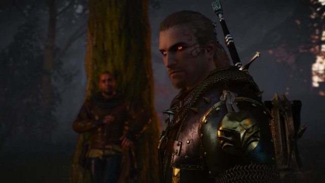 witcher3 2022-02-12 22-34-14-16.jpg