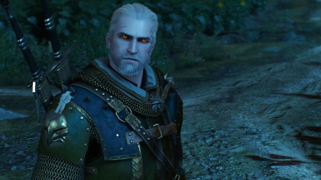 witcher3 2022-02-12 22-06-52-70.jpg