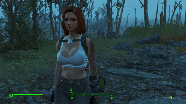Fallout4 13.07.2022 16_08_26.png