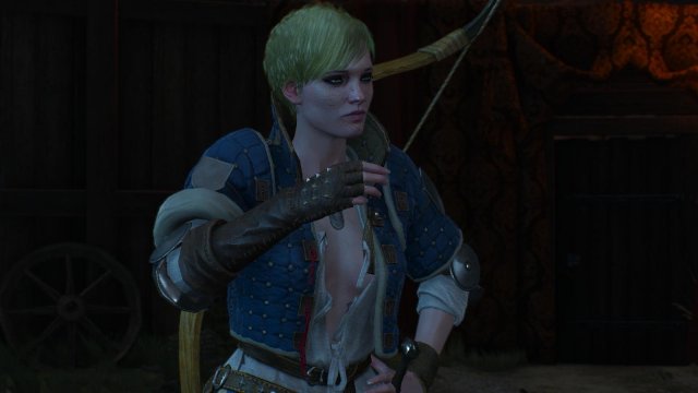 witcher3 2022-01-22 15-22-43-56.jpg