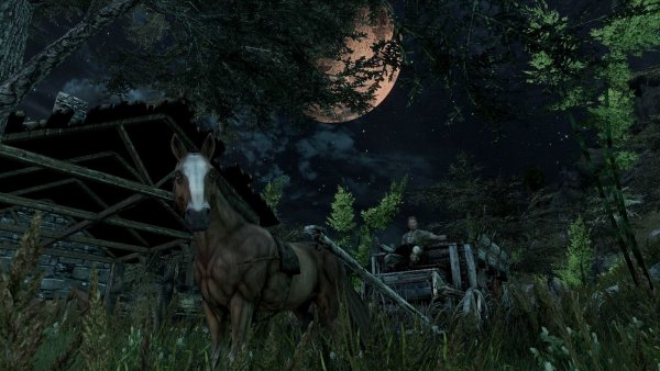 Ночное.. SKYRIM AE