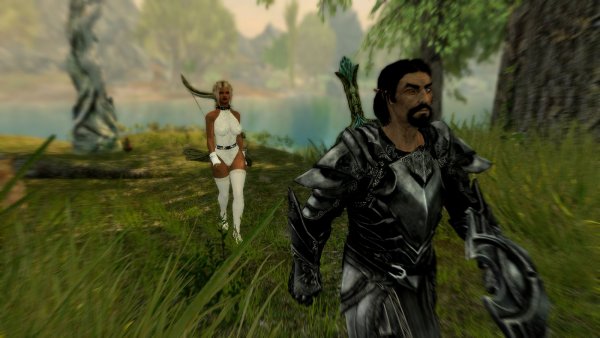 Воин со спутницей.. SKYRIM AE