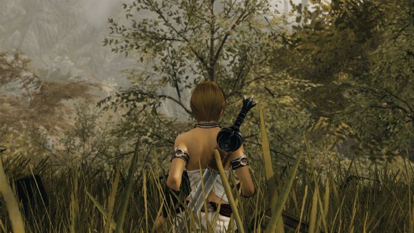 Высокая трава.. SKYRIM AE (сборка 10)