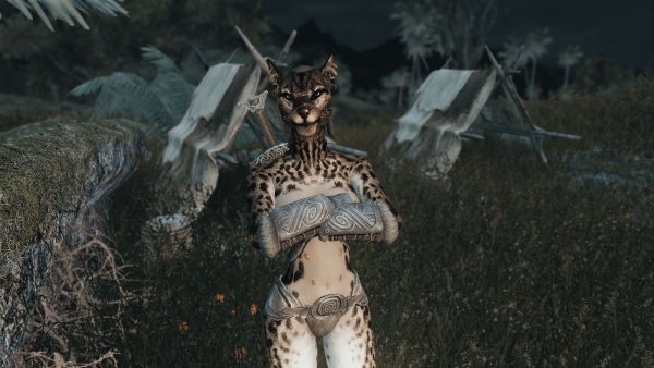 Кисса ) SKYRIM AE (сборка 10)