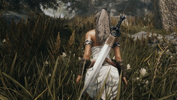 В моём Скайрим появилась новая перса )