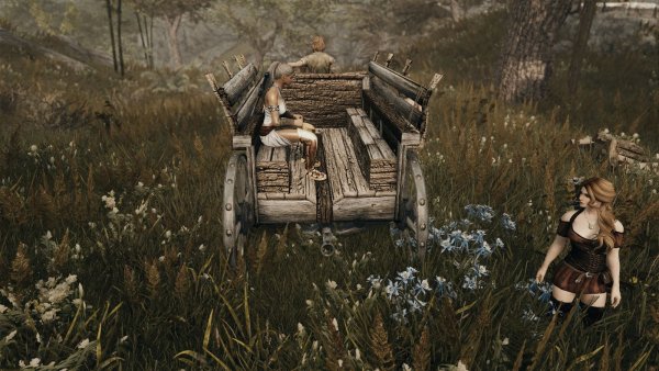 Ну, куда едем? SKYRIM AE (сборка 10)