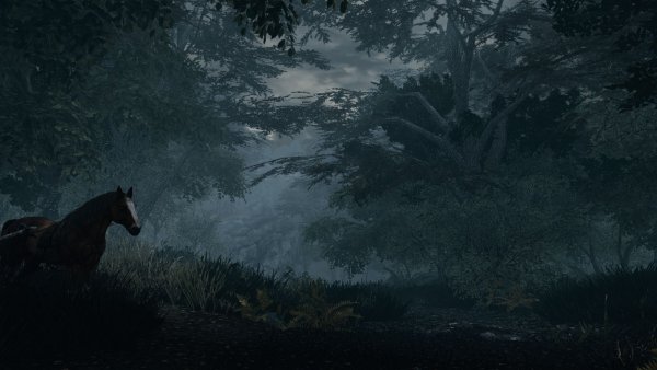 Мрачные пейзажи.. SKYRIM AE (сборка 10)