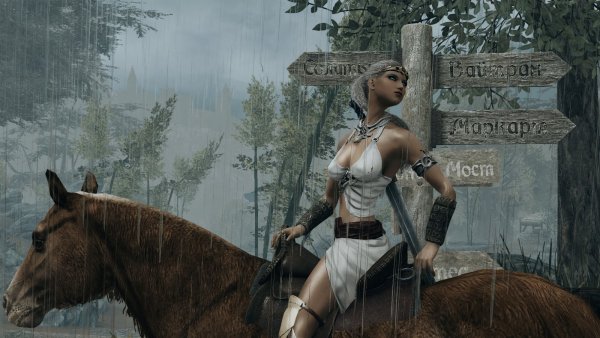 НИКа решает куда ей ехать.. SKYRIM AE (сборка 10)