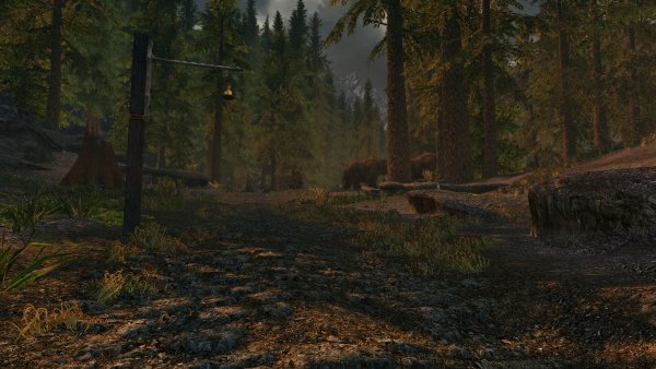 Слоники. Лесные. Мохнатые.