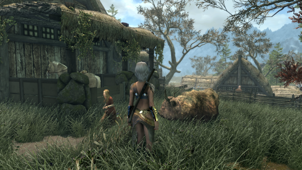 Почти зубр)