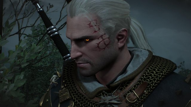 witcher3 2022-04-21 21-17-58-74.jpg