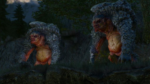 witcher3 2022-01-18 01-00-09-30.jpg