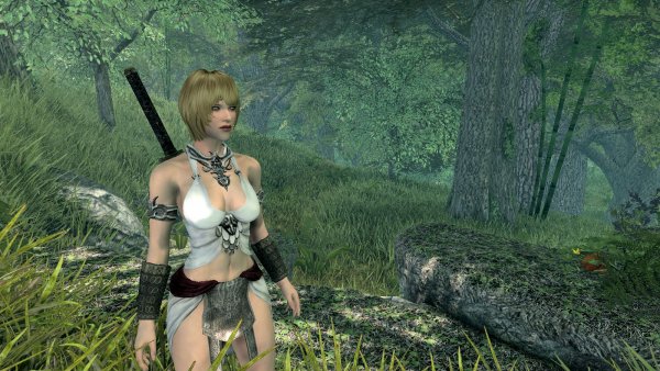 SKYRIM AE (сборка 10)