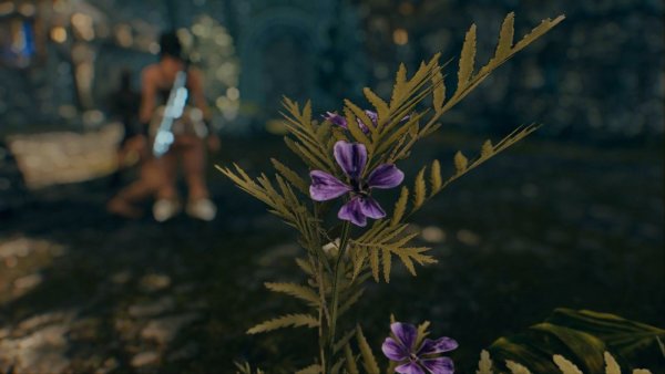 Цветочек.. SKYRIM AE (сборка 10)