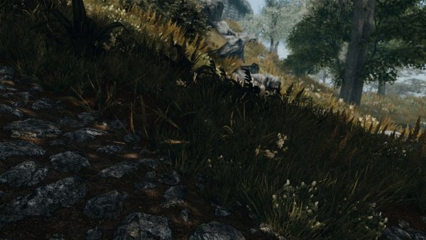 Тени.. SKYRIM AE (сборка 10)