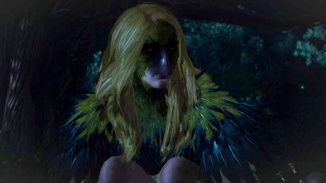 witcher3 2022-01-29 00-24-26-70.jpg