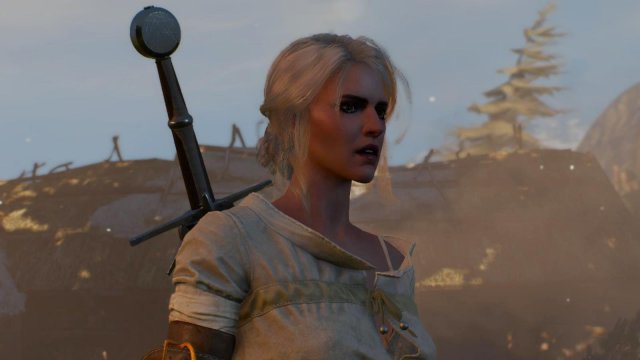 witcher3 2022-01-11 22-37-34-60.jpg