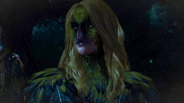 Дева - иволга.. Ведьмак III