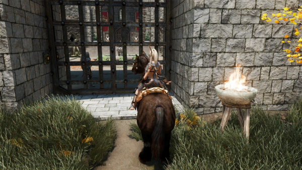 Хозяйка приехала)