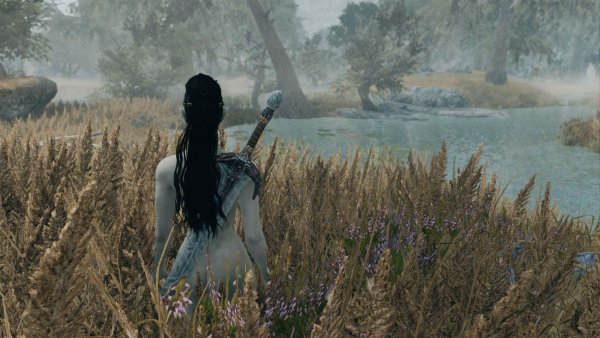 Чтоль освежиться?! SKYRIM AE (сборка 10)