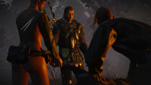 witcher3 2022-02-12 22-20-48-76.jpg