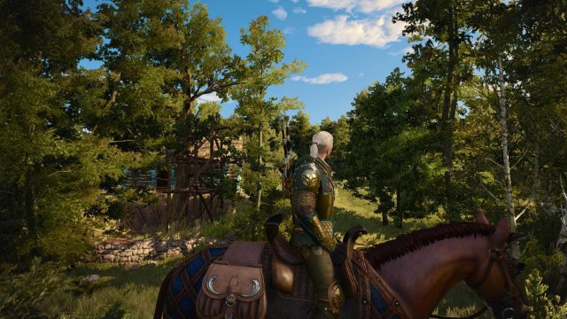 witcher3 2022-04-20 00-02-37-25.jpg