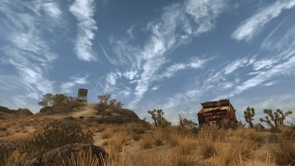 Гудспринс. Вид на кладбище и лачугу.