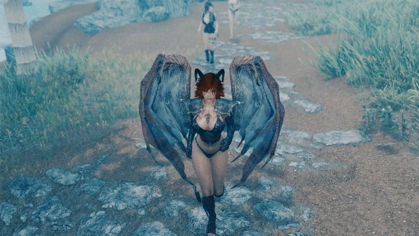 Бегом, к приключениям. Skyrim SE (сборка 11)