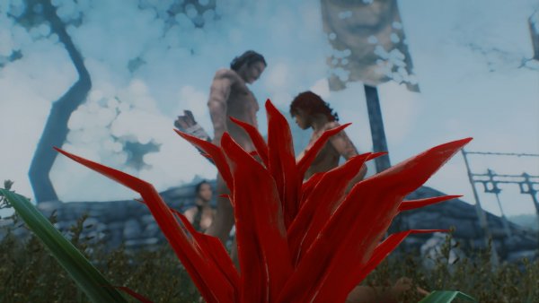 Бутон распустившегося цветка.. Skyrim SE (сборка 11)