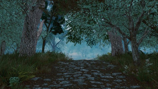 Лесная дорога.. Skyrim SE (сборка 11)