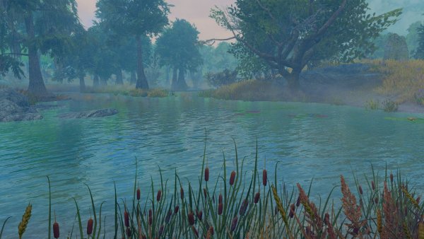 На болотах.. Skyrim SE (сборка 11)