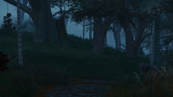 Сумеречный лес.. Skyrim SE (сборка 11)