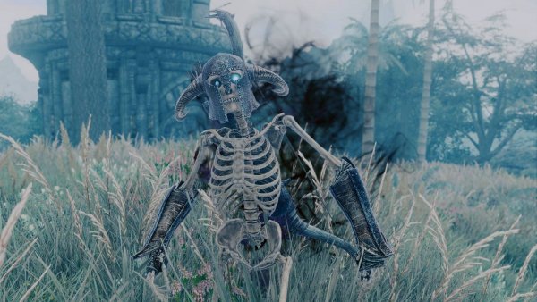 Костяной воин.. Skyrim SE (сборка 11)