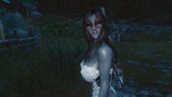 Торговка на ночной дороге.. Skyrim SE (сборка 11)