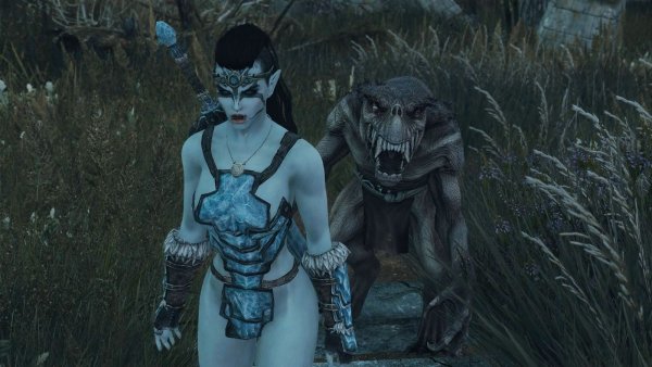 Мирроя с телохранителем ;) SKYRIM AE (сборка 10)