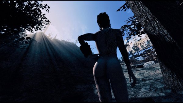 Попный пейзаж.. Fallout-4 (Сборка 7.5)