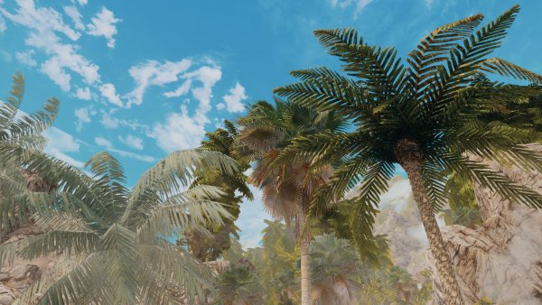 Небо тропиков.. Skyrim SE (Тропики 7.0)