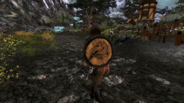 Мечта щита на спине - у кого-то сбудется