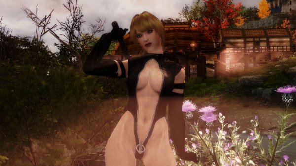 Skyrim  LE тестовое