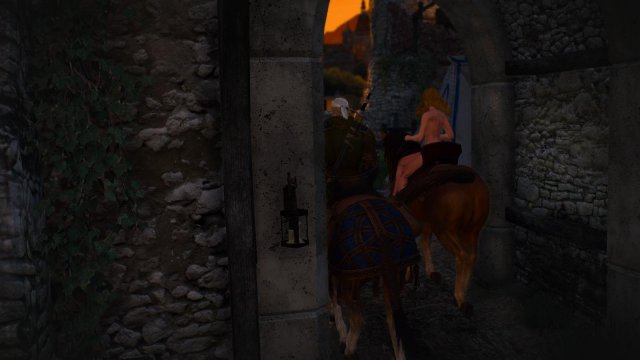 witcher3 2022-01-29 00-44-56-07.jpg