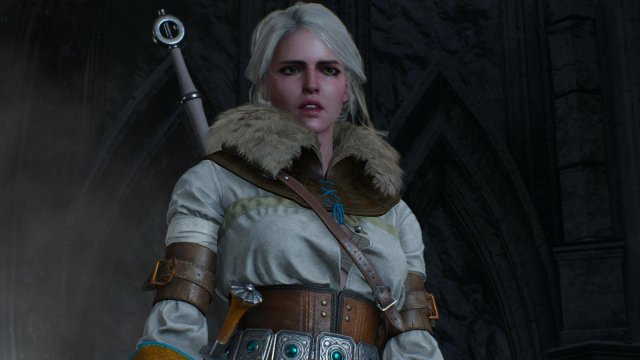 witcher3 2022-01-21 22-48-42-50.jpg