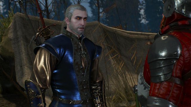 witcher3 2022-05-02 21-50-30-69.jpg