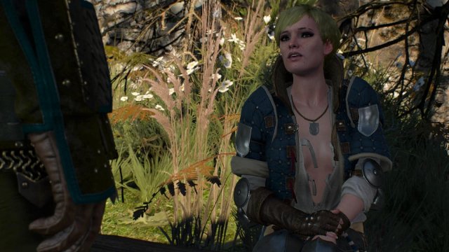 witcher3 2022-01-19 22-26-16-07.jpg