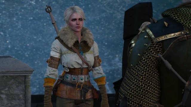 witcher3 2022-01-21 22-49-41-62.jpg