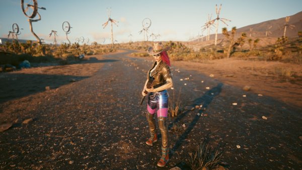 В пустошах.. Cyberpunk 2077 глазами Windfire