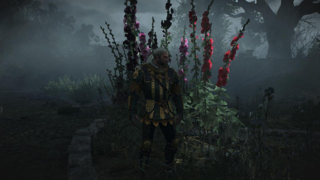 witcher3 2022-04-21 21-53-45-30.jpg